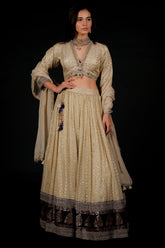 Off White Tissue Weaving and V Neckline Lehenga
